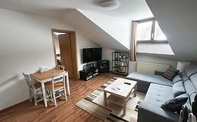 Family Apartment Sumava